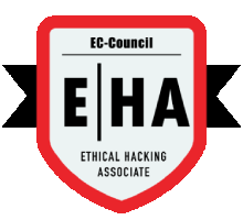 Ethical Hacking Training in Baltimore