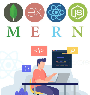 Mern Stack Development Training in Usa