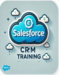 SalesForce Training in Miami